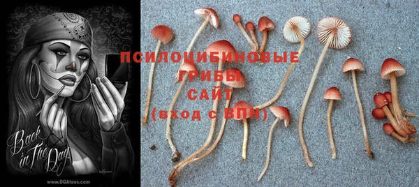 экстази Алексеевка