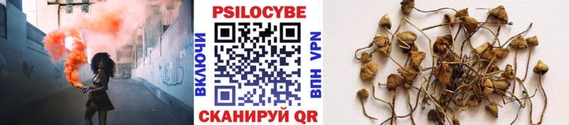 где найти Липки Галлюциногенные грибы GOLDEN TEACHER